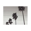 Trademark Fine Art Pictufy Studio III Palm 4 Wood Slat Art - image 3 of 4