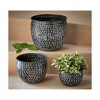 TAG Black Zahara Planter Set of 3 - 2 of 2