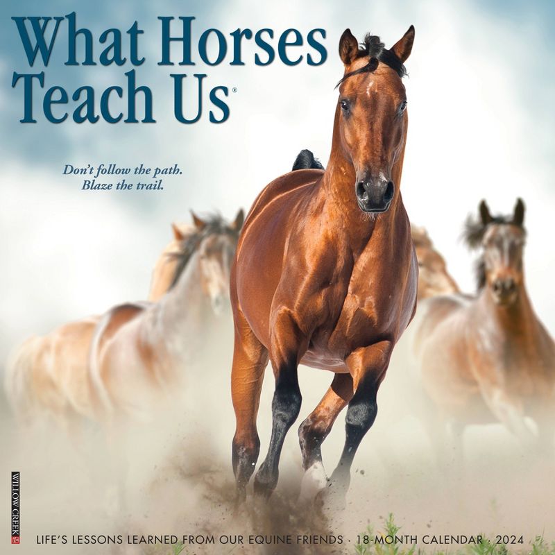 Willow Creek Press 2024 Wall Calendar 12&#34;x12&#34; What Horses Teach Us, 1 of 4