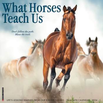 Willow Creek Press 2024 Wall Calendar 12"x12" What Horses Teach Us