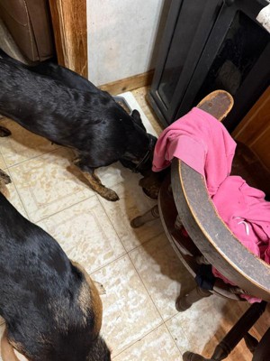 Guest review image 1 of 1, zoom in