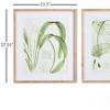 Plum & Post Aquatic Leaf Prints, Set Of 2 - 3 of 4