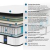 ELJGET Twin XL Mattress, 10 Inch Hybrid Mattress in a Box, Zoned Pressure Relief, Medium Firm Feel, Motion Isolation, Deep Sleep, White - 4 of 4