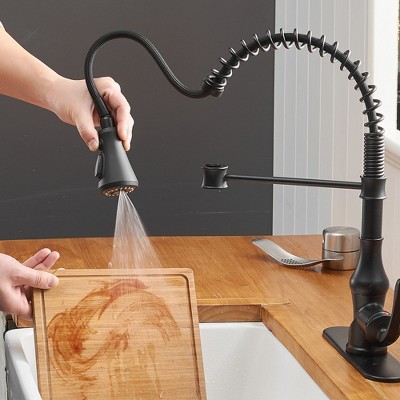 Matte Black Pull-Down Kitchen Faucet with Deck Plate