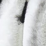 grayish white