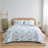 Coastal Inspired Quilted Coverlet Set with Shams - 2 of 4