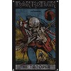 Trends International Iron Maiden - Tarot Card Unframed Wall Poster Prints - 4 of 4