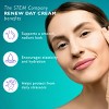 STEM ReNew Day Cream. Daily Face and Neck Moisturizer with Antioxidants. Luxury Skincare for Women and Men, 1 oz - 4 of 4