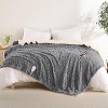 Acekool Wireless Heated, Fast Heating, 10 Settings, Soft Plush Blanket, Machine Washable - 2 of 4