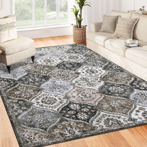 Machine Washable Area Rugs, Non-Slip Low Pile Accent Rug, Stain Resistant Faux Wool Oriental Carpet for Living Room, Bedroom - 1 of 4
