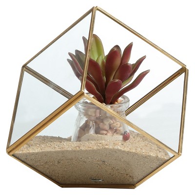8.5" Cube Shaped Glass Terrarium Clear/Brass - Danya B.
