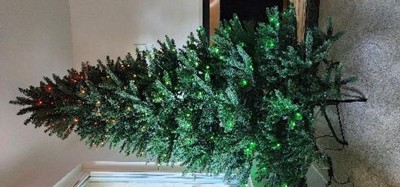 christmas tree  bluetooth outlet｜TikTok Search