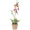 Northlight 14" Orchid Flower Artificial Potted Plant - Red/Yellow - 3 of 4