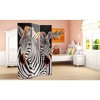 6" Double Sided Elephant and Zebra Canvas Room Divider - Oriental Furniture: 3-Panel, No Assembly, Spruce Wood Frame - 4 of 4