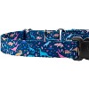 Country Brook Petz Martingale with Deluxe Buckle - Critter Corner Collection - 4 of 4