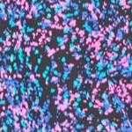black confetti