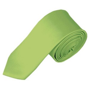 Men's Solid Color Skinny 2 Inch Wide And 57 Inch Long Neckties - 1 of 4
