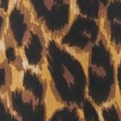 brown painterly cheetah