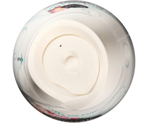 Renuzit Gel Air Freshener, After the Rain, 1ct