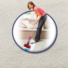 Resolve Clean & Fresh Pet Carpet Foam - 22oz