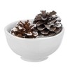 Ganz Holiday Ceramic Tidbit Decoration Bowls, Nice, Good, Naughty, & Jolly (Pack of 4) - 3 of 3