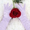 INSPIRE CHIC Women's Full Finger Opera Length Solid Gloves - 4 of 4
