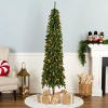 6.5' Prelit Pencil Slim Grand Alpine Wrapped Artificial Christmas Tree Clear Lights - National Tree Company - 2 of 4