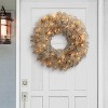 Puleo 24" Battery-Operated Pre-Lit Tan Wreath with 35 Warm White Lights - 3 of 4