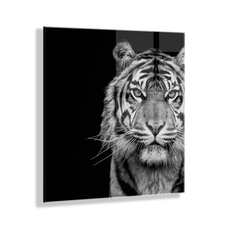 23&#34; x 23&#34; Tiger Minimalist Animal Portrait by The Creative Bunch Floating Acrylic Wall Canvas Black - Kate &#38; Laurel All Things Decor, 1 of 7