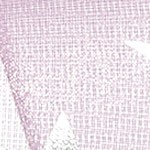 lavender purple