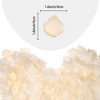 REGALWOVEN Home Decoration Wedding Engagement Artificial Flower Petals 1.6" 1000 Pcs - 2 of 4