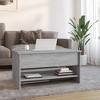 vidaXL Modern Coffee Table in Gray Sonoma, 49.6 Pounds, Spacious Design, Durable Engineered Wood, Easy Assembly - 2 of 4