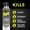 Raid Wasp and Hornet Killer Bug Spray - 2ct/14oz each - 4 of 4
