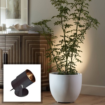 Black Adjustable Metal Indoor Uplighting Accent Spotlights Set