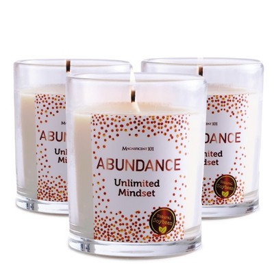 Magnificent 101 Set of 3 Long-Lasting Abundance Unlimted Mindset Smudge Candles | 3.5 Oz Each - 42 Hour Burn