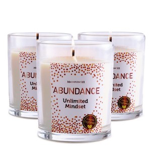 Magnificent 101 Set of 3 Long-Lasting Abundance Unlimted Mindset Smudge Candles | 3.5 Oz Each - 42 Hour Burn - 1 of 4