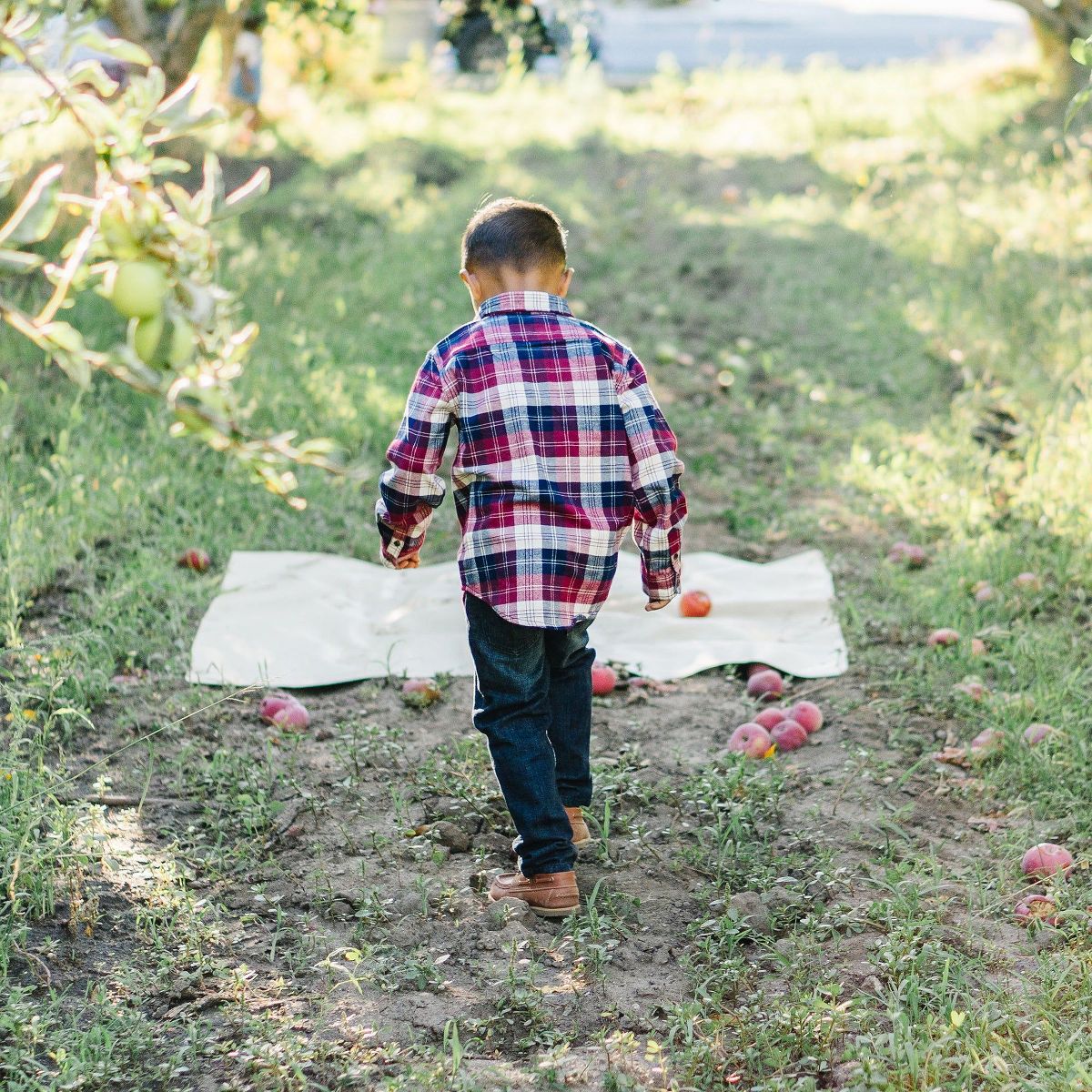 Hope & Henry Boys' Cotton Long Sleeve Brushed Cotton Flannel Button Down Shirt, Infant - thumbnail 4