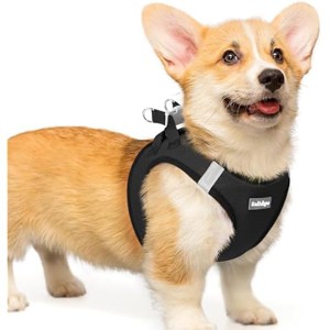 rabbitgoo Small Dog Harness, Step-in Soft Mesh Reflective Pet Harness for Small Medium Dogs, Black L - 1 of 1
