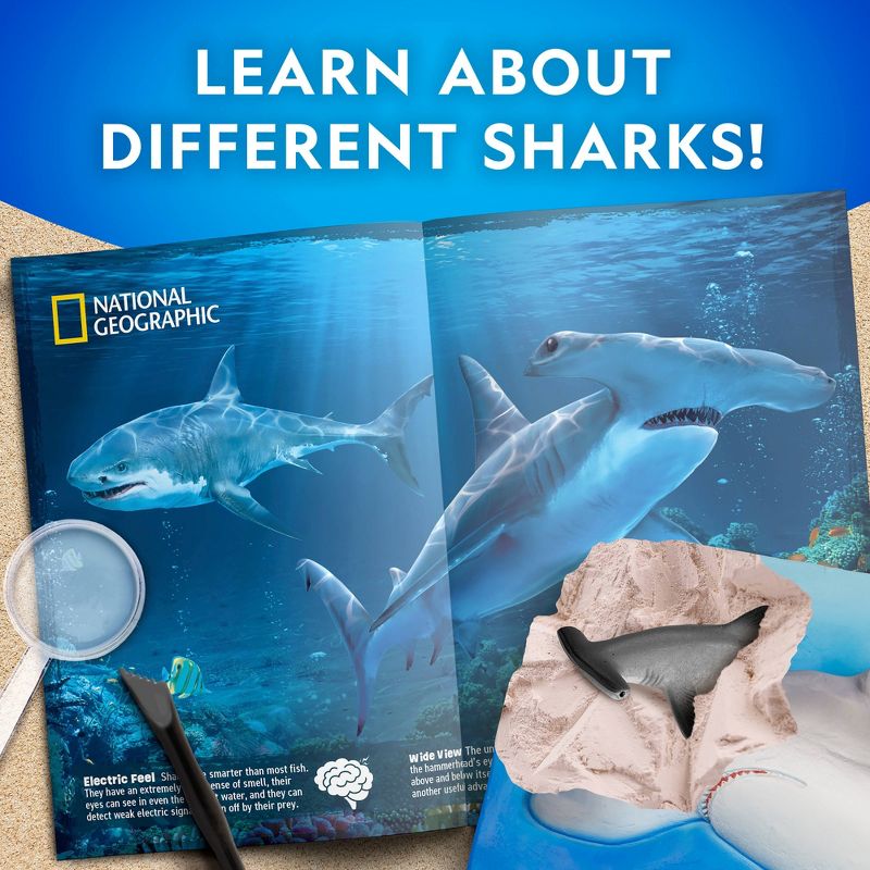 National Geographic Shark Dig Kit, 3 of 4