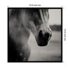 Kate and Laurel Horse Like Velvet by Laura Evans Framed Wall Art Print, 33 x 33, Svelte Noir Black - 2 of 4
