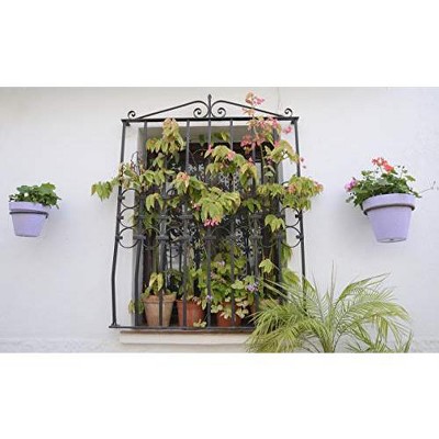 4-Inch Terracotta and Black Metal Wall Planters Set