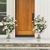 Angel Sar 2-Pack Artificial Camellia Trees, 4ft Faux Blooming Flower Plants in Black Pots, Realistic Indoor Decor for Home Office Wedding - 2 of 4