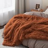 Bedsure | PV Fleece Blanket  a Chic Addition with Brushed Longfur - 3 of 4