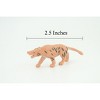 Collectible Wildlife Gifts | Andrewsarchus, Ancient Mammal, Educational, Realistic, Diorama Figure,  Rubber Model, Gift,   2 1/2 Inches.    SF82 B224 - 2 of 4