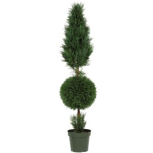 Nearly Natural 5-ft Cypress Ball and Cone Artificial Tree (Indoor/Outdoor) - 1 of 4