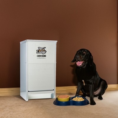 Silver Heavy Gauge Steel Automatic Dog Feeder for Small to Medium Breeds