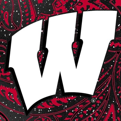 wisconsin badgers