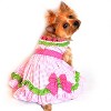 Doggie Design Watermelon Dog Harness Dress - 3 of 4