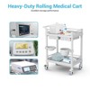 Mojgar Medical Carts with Wheels 2 Tier Mobile Esthetician Cart 330 LBS Load Hospital Trolley Cart for Ultrasound Scanner Utility - 3 of 4