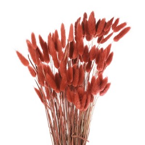 Unique Bargains Decorative Natural Dried Floral Bunny Tail Artificial Plants 120 Pcs - 1 of 4